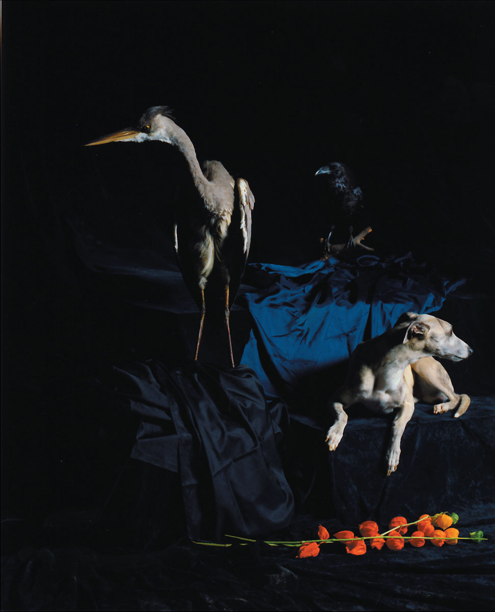 Hund mit Reiher, 2005<br>Lambda-Print<br>130x100cm