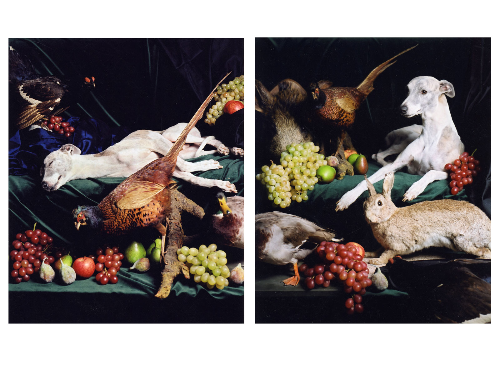 Zwei Hunde (Diptychon), 2005<br>Lambda-Print<br>jeweils 100x80cm
